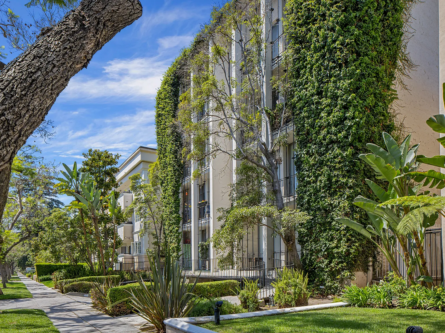 409 Palm — Photo 3