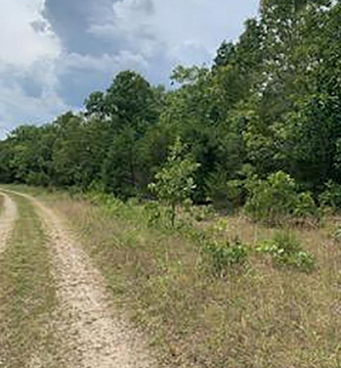 Barnes Road Reeds Blf LOT 52, Evening Shade, AR 72532 Zillow