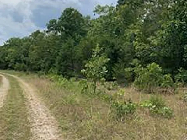 Barnes Rd, Evening Shade, AR 72532
