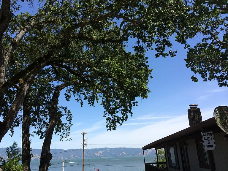 Lakeshore Blvd — Photo 2