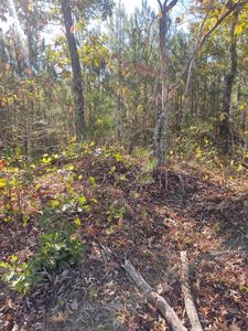 0 Joe Robertson Rd, Rocky Face, GA, 30740