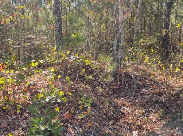 0 Joe Robertson Rd, Rocky Face, GA 30740