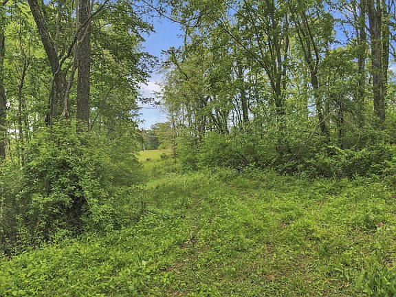 5th image of 29500 Fairview Ridge Rd