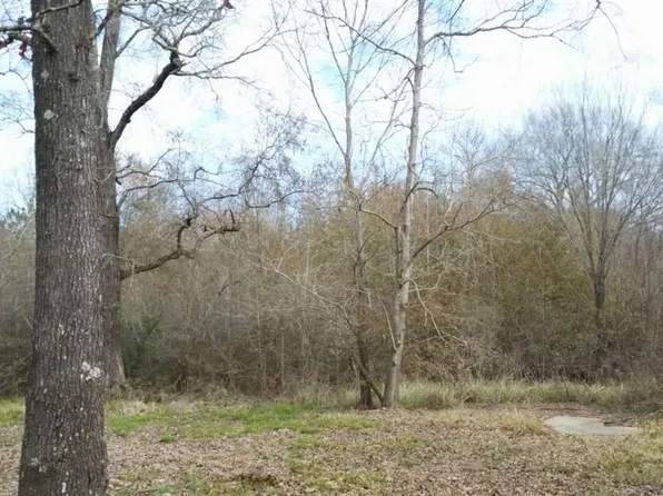 4130 Lakeview Cutoff St, Vidor, TX 77662