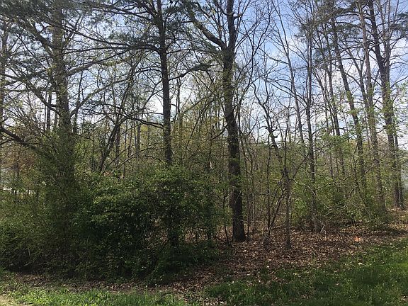 5th image of Walnut Dr