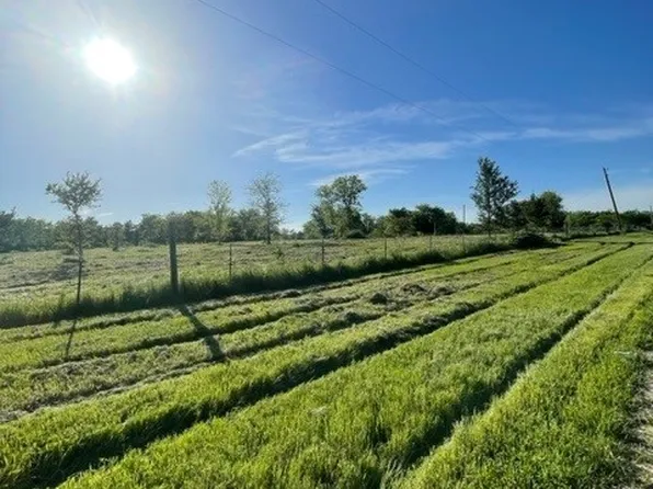 LOT SW County Rd #2385, Wortham, TX 76693