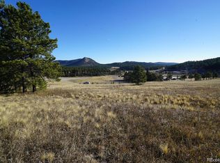 19 Bull Dogger Dr, Bailey, CO 80421