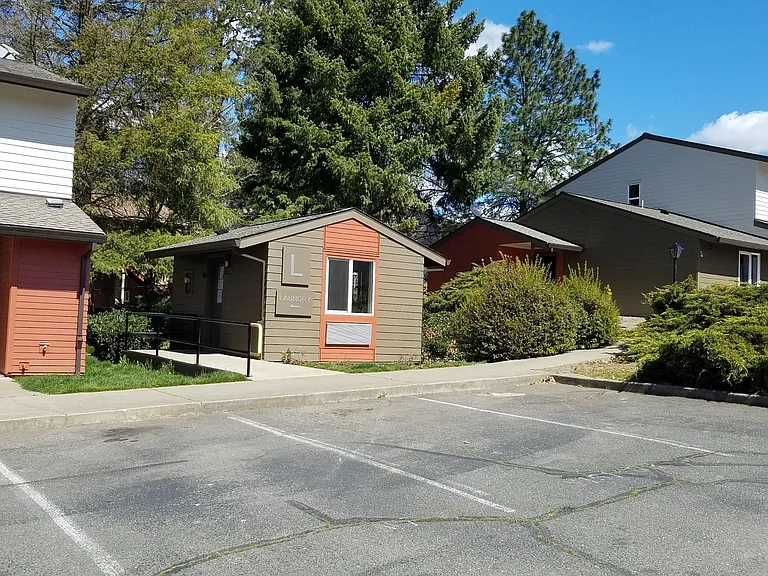 Valerie Hills — Photo 4