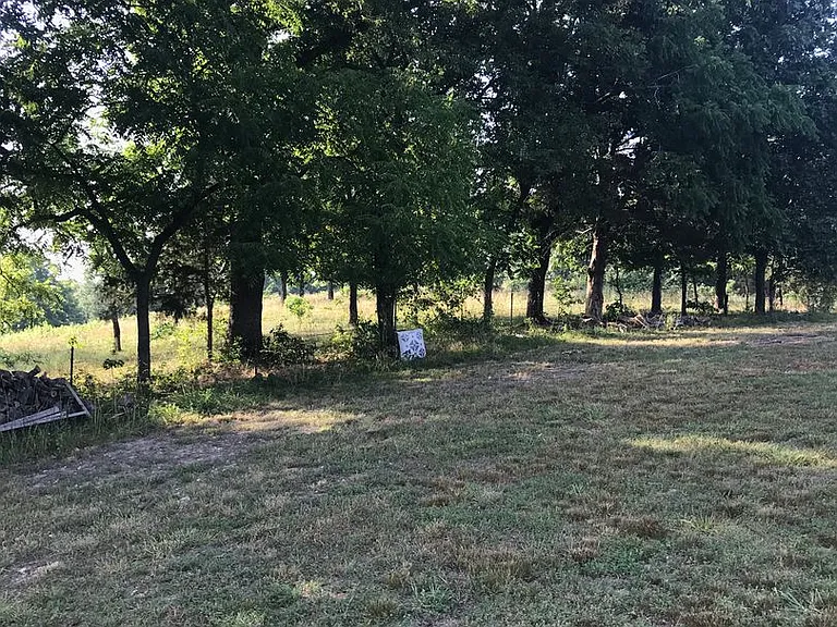 3976 State Highway 176 E — Photo 25