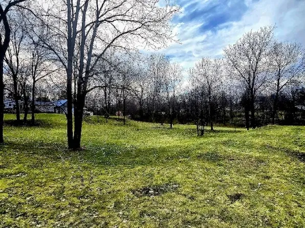 N McPherson St, Stanton, MI 48888