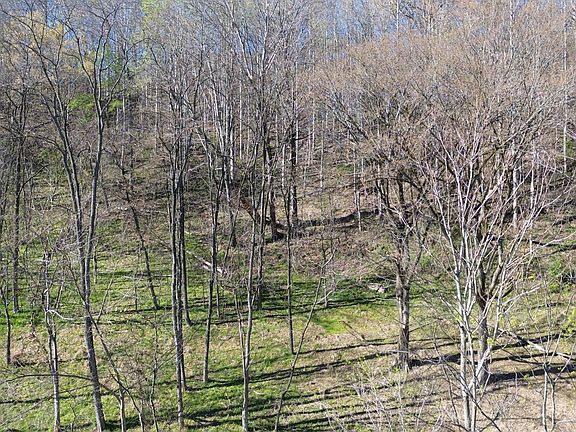 4th image of 0 Blackberry Ridge Way