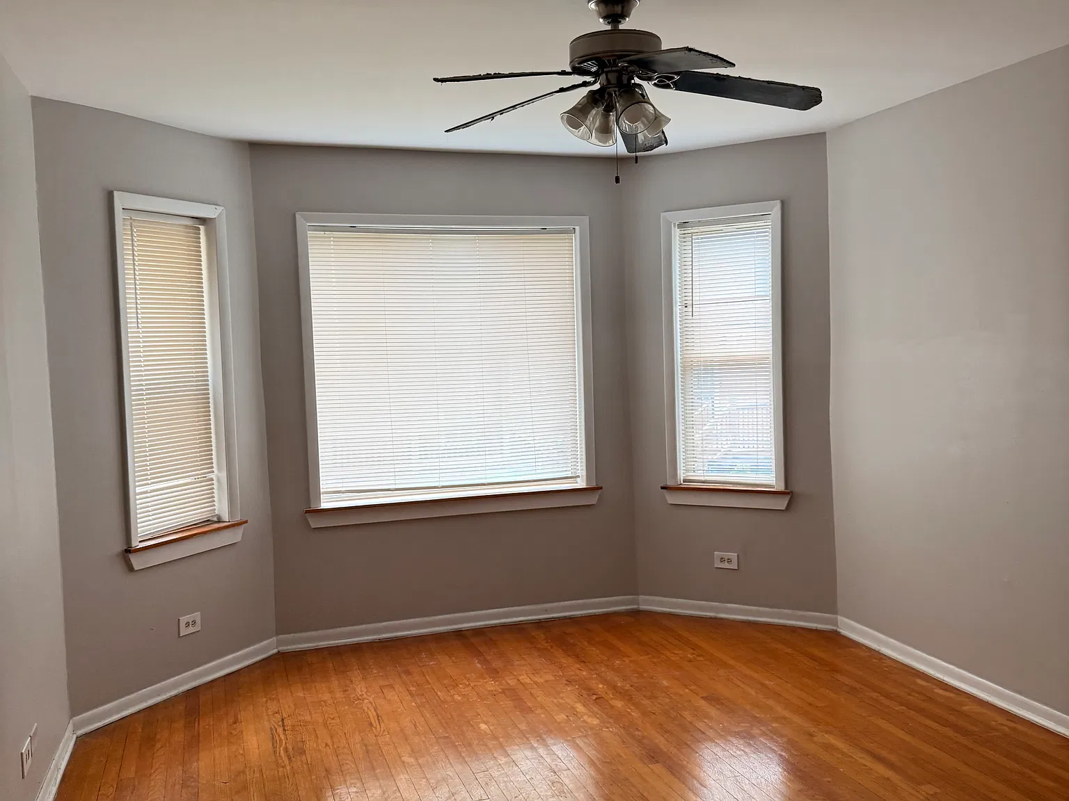 1 bed, 750 sqft, $925 — Photo 2