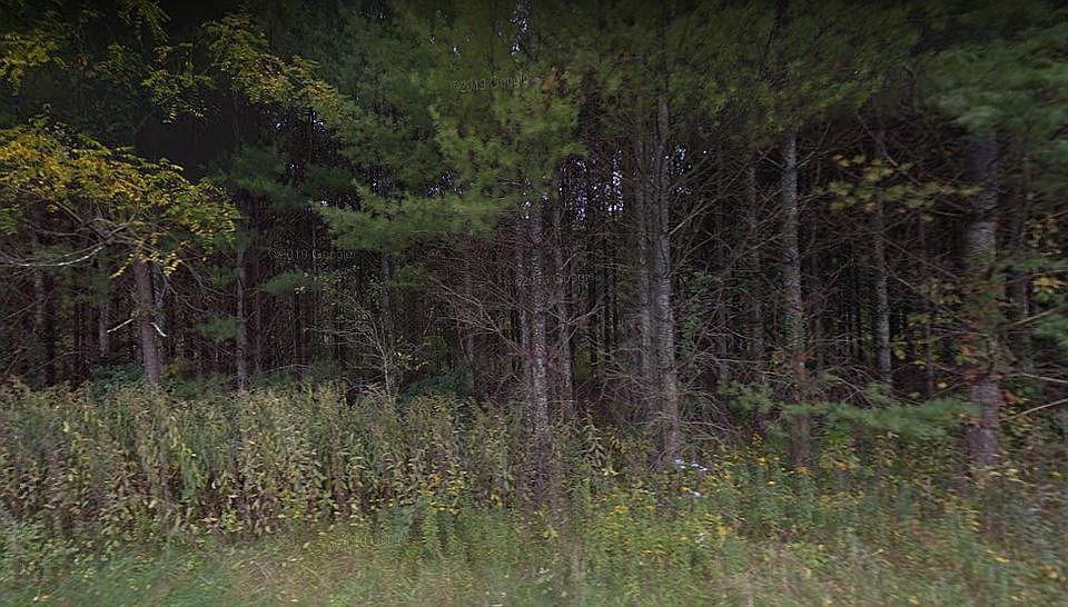 2nd image of Hidden Mountain Ln #77