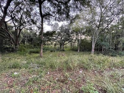 SE 128th St LOT 13, Belleview, FL, 34420