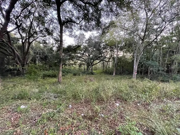 SE 128th St Lot 13, Belleview, FL 34420