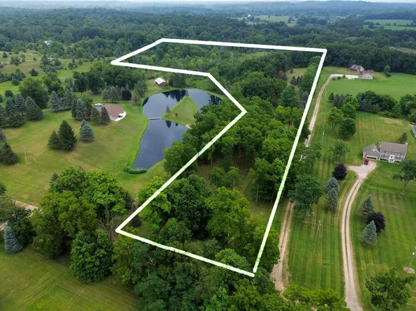 Sharon Hollow Rd, Manchester, MI 48158
