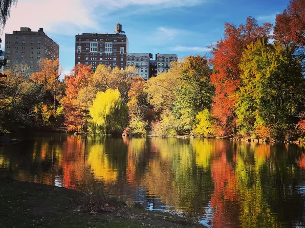410 Central Park West 2F image 12 of 12
