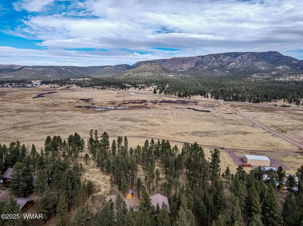 10 County Road N2157, Alpine, AZ 85920