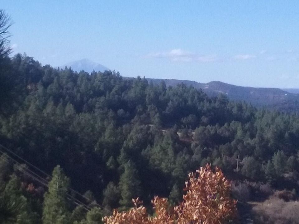 1st image of 33393 Alpine Meadows Dr