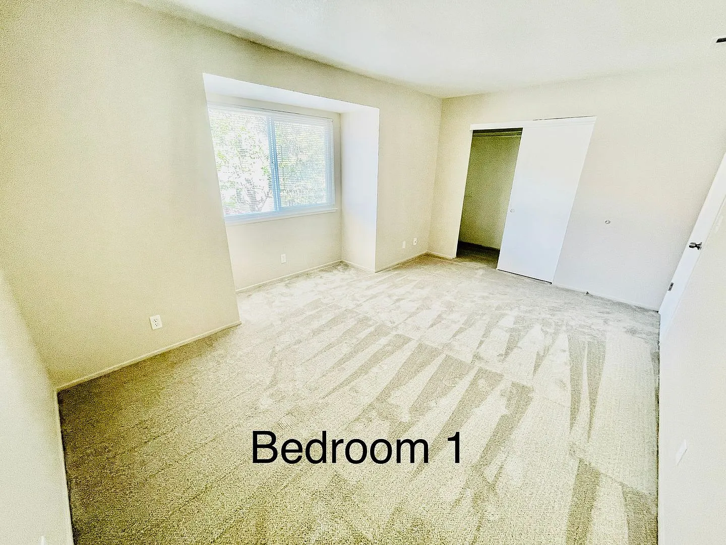 Sonata Apartments — Photo 3