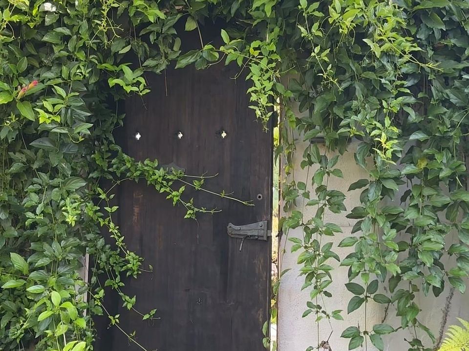1st image of 904 Keeler Ave