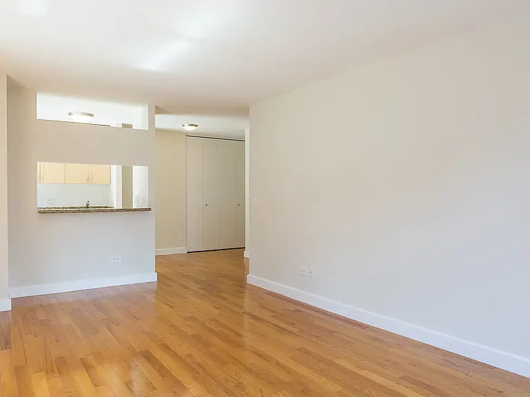 235 W 48th St #14R — Photo 2