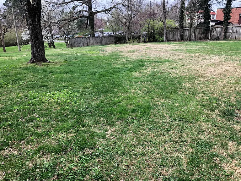 120 Womack Ave — Photo 20