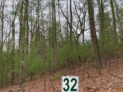 LOT 32 Watersong Trl, Ellijay, GA, 30540