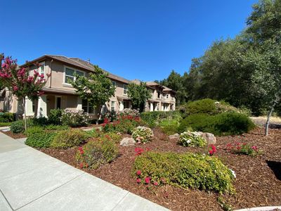 310 Blossom Rock Ln, Folsom, CA, 95630