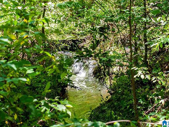 4th image of Poplar Springs Trl #8.7 acres
