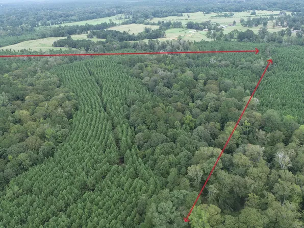 Coussons Dr, Nacogdoches, TX 75961