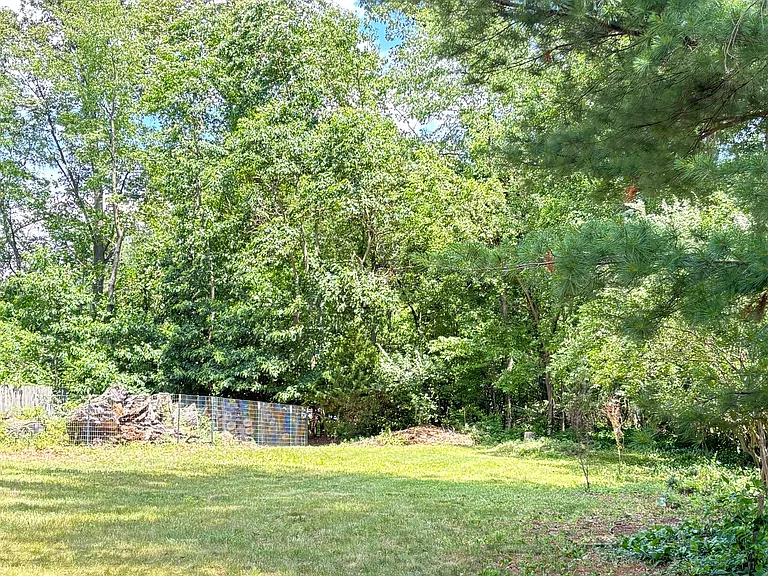 Spacious yard with a beautiful mix of sun and shade.