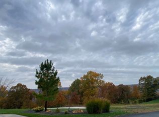 46 Sunset Dr, Chestnutridge, MO 65630