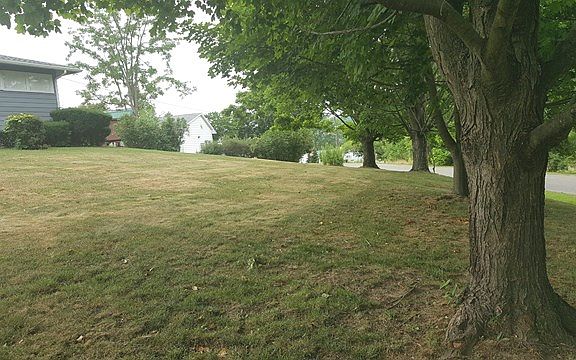 2nd image of 597 Hillcrest Dr