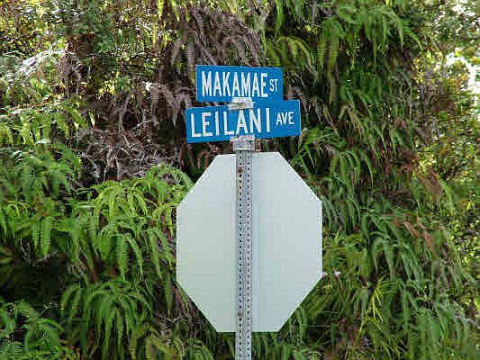 2nd image of Makamae St Lot 40