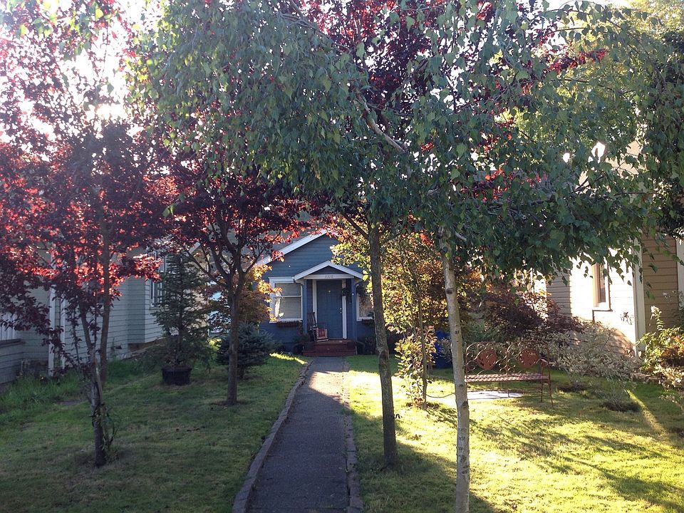 Entry courtyard p.m.