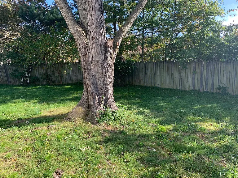 803 Kilarney Dr — Photo 20