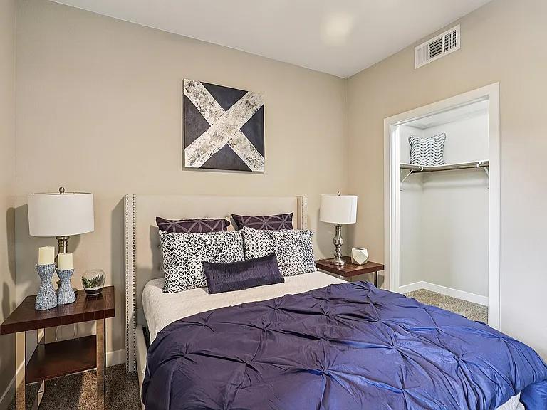 Bedroom with Walk in Closet