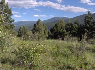 572 Pine Hollow Rd, Bailey, CO 80421