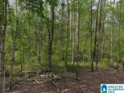 3340 Floyd Bradford Rd #1, Trussville, AL, 35173