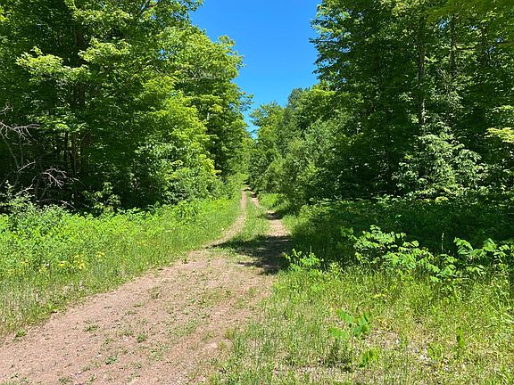 3rd image of Niemi Rd