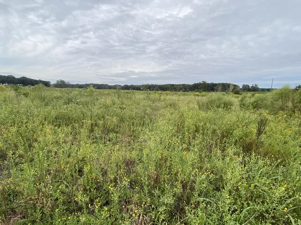 1 NE Sage Rd, Mayo, FL 32066