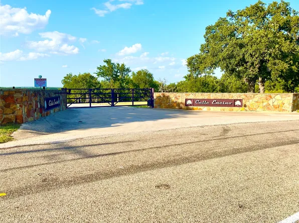 117 Calle Encino Ln, Millsap, TX 76066