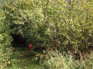 9767 N McClelland Rd, Breckenridge, MI 48615