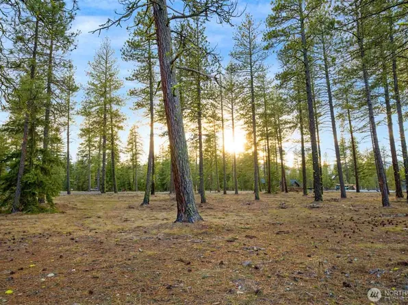 113 Wanawish Loop, Cle Elum, WA 98922