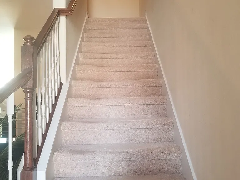 4910 Fiorazante Ave — Photo 11