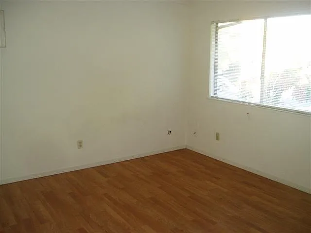 811 Cathedral Ct — Photo 17