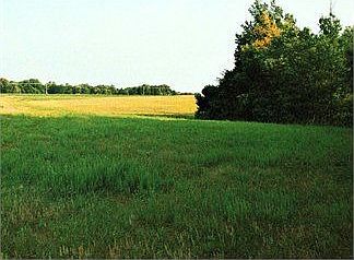 1st image of 7103 State Highway 62 N