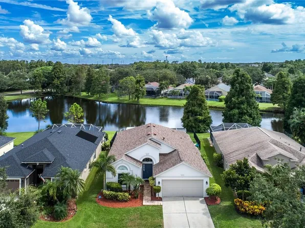 9912 Stockbridge Dr, Tampa, FL 33626