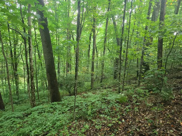 0 Rosemount Rd, Sylva, NC 28779